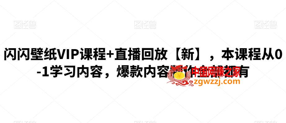 闪闪壁纸VIP课程+直播回放：本课程从0-1学习内容，爆款内容制作全部都有,图片[1]-闪闪壁纸VIP课程+直播回放【新】，本课程从0-1学习内容，爆款内容制作全部都有-阿灿说钱,课程,mp,爆款,第1张