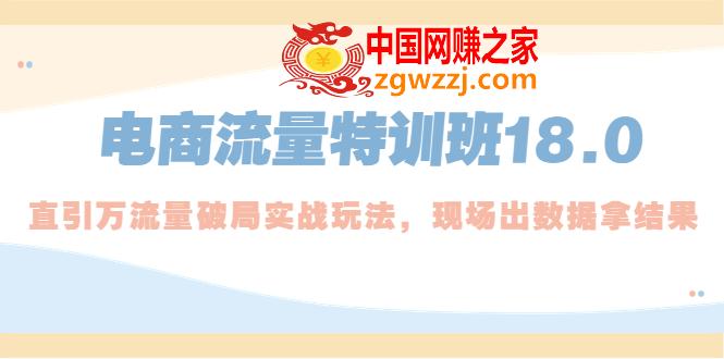 电商流量特训班18.0，直引万流量破局实操玩法，现场出数据拿结果,电商流量特训班18.0，直引万流量破局实操玩法，现场出数据拿结果,破局,特训班,流量,第1张