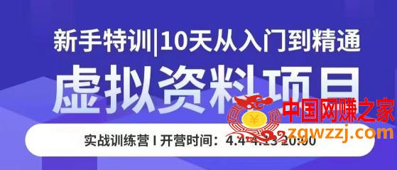 虚拟资料项目新手特训，10天从入门到精通，保姆级实操教学,虚拟资料项目新手特训，10天从入门到精通，保姆级实操教学,技巧,经验,分享,第1张