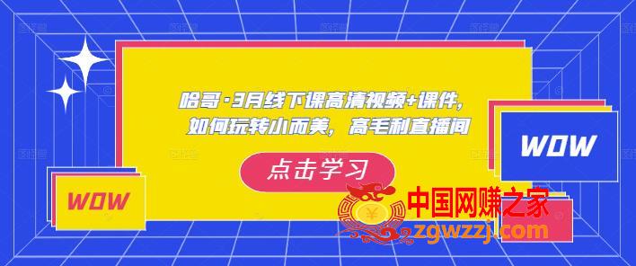 哈哥·3月线下实操课高清视频+课件，如何玩转小而美，高毛利直播间,哈哥·3月线下实操课高清视频+课件，如何玩转小而美，高毛利直播间,视频,核心,直播间,第1张