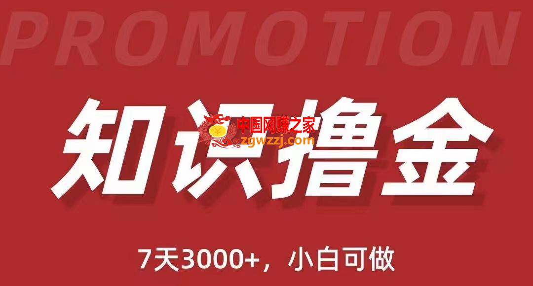 【抖音知识撸金教程】简单粗暴，日入1000，当天见收益！,抖音知识撸金项目：简单粗暴日入1000+执行力强当天见收益(教程+资料),项目,抖音,知识,第1张