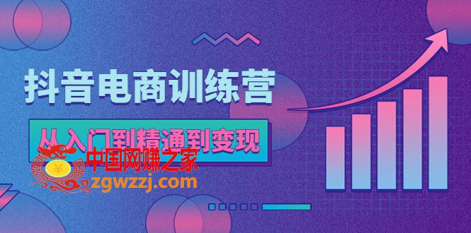 抖音电商训练营：从入门到精通，从账号定位到流量变现，抖店运营实操,抖音电商训练营：从入门到精通，从账号定位到流量变现，抖店运营实操,账号,流量,训练营,第1张