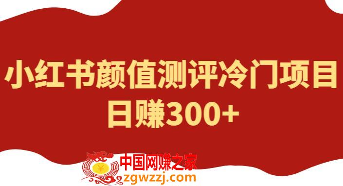 外面1980的项目，小红书颜值测评冷门项目，日赚300+【揭秘】,外面1980的项目，小红书颜值测评冷门项目，日赚300+【揭秘】,项目,作品,书,第1张