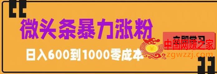 微头条暴力涨粉技巧搬运文案就能涨几万粉丝，简单0成本，日赚600【揭秘】,微头条暴力涨粉技巧搬运文案就能涨几万粉丝，简单0成本，日赚600【揭秘】,账号,文案,项目,第1张