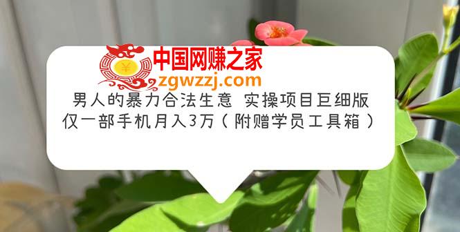 男人的暴力合法生意实操项目巨细版：仅一部手机月入3w（附赠学员工具箱）