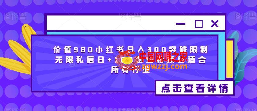 价值980小红书日入300突破限制无限私信日+100创业粉项目适合所有行业,价值980小红书日入300突破限制无限私信日+100创业粉项目适合所有行业,项目,书,价值,第1张