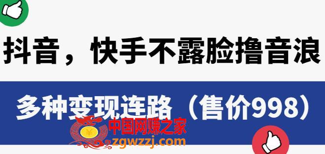 抖音快手不露脸撸音浪项目，多种变现连路（售价998）,抖音快手不露脸撸音浪项目，多种变现连路（售价998）,项目,课程,第1张