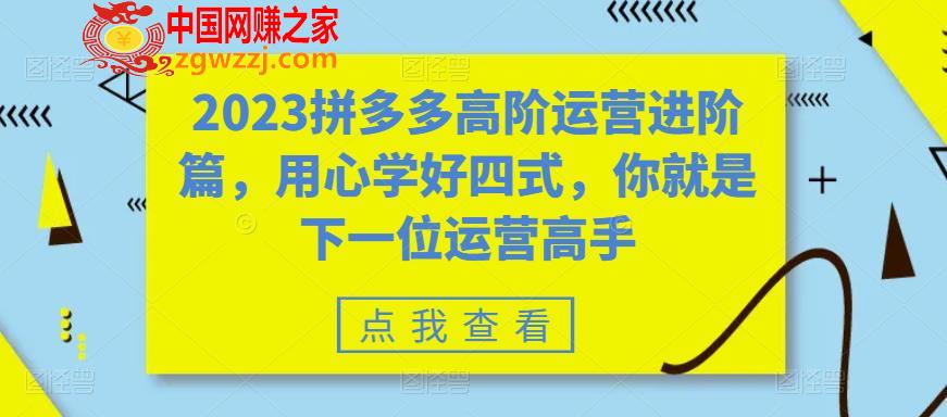 2023拼多多高阶运营进阶篇，用心学好四式，你就是下一位运营高手