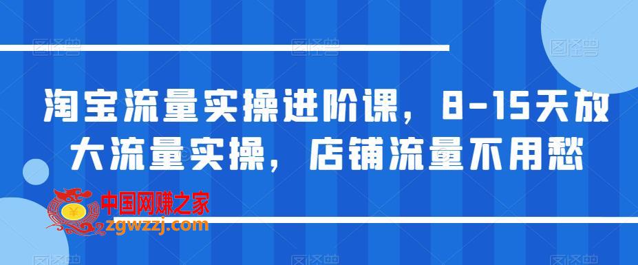 淘宝流量实操进阶课，8-15天放大流量实操，店铺流量不用愁,淘宝流量实操进阶课，8-15天放大流量实操，店铺流量不用愁,流量,mp,实操,第1张