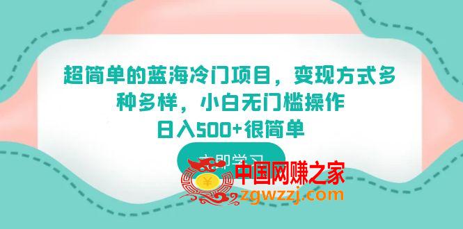 超简单的蓝海冷门项目，变现方式多种多样，小白无门槛操作日入500+很简单