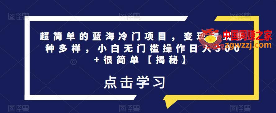 超简单的蓝海冷门项目，变现方式多种多样，小白无门槛操作日入500+很简单【揭秘】,超简单的蓝海冷门项目，变现方式多种多样，小白无门槛操作日入500+很简单【揭秘】,项目,作品,账号,第1张