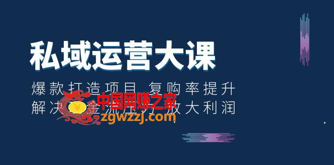 私域运营大课：爆款打造项目 复购率提升 解决现金流压力 放大利润,私域运营大课：爆款打造项目 复购率提升 解决现金流压力 放大利润,域,私域,方案,第1张