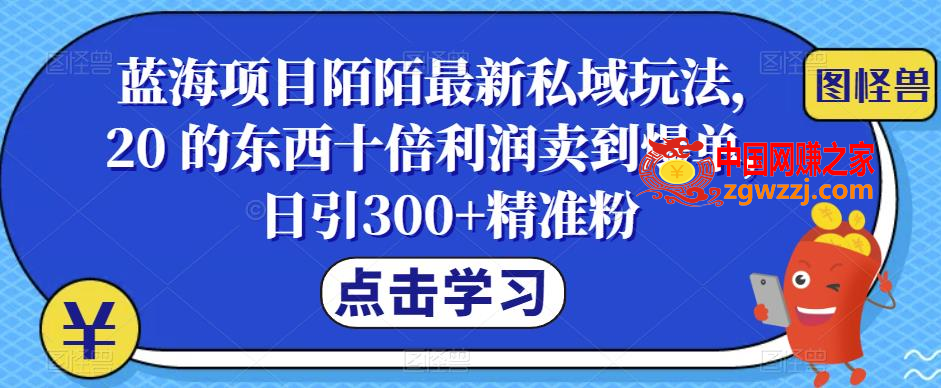 蓝海项目陌陌最新私域玩法，20 的东西十倍利润卖到爆单，日引300+精准粉【揭秘】,image.png,项目,非常简单,利润,第1张