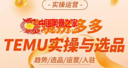 伍跃·跨境拼多多TEMU实操与选品，​趋势/选品/运营/入住（27节完整）,伍跃·跨境拼多多TEMU实操与选品，趋势/选品/运营/入住（27节完整）,选品,跨境,第1张