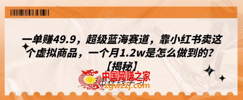 一单赚49.9，超级蓝海赛道，靠小红书卖这个虚拟商品，一个月1.2w是怎么做到的？【揭秘】,一单赚49.9，超级蓝海赛道，靠小红书卖这个虚拟商品，一个月1.2w是怎么做到的？【揭秘】,赛道,蓝海,项目,第1张