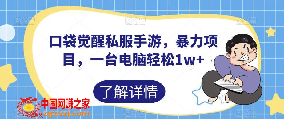 口袋觉醒私服手游，暴力项目，一台电脑轻松1w+【揭秘】,口袋觉醒私服手游，暴力项目，一台电脑轻松1w+【揭秘】,教程,淘宝,项目,第1张