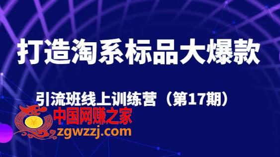 打造淘系标品大爆款引流班线上训练营（第17期）5天直播授课