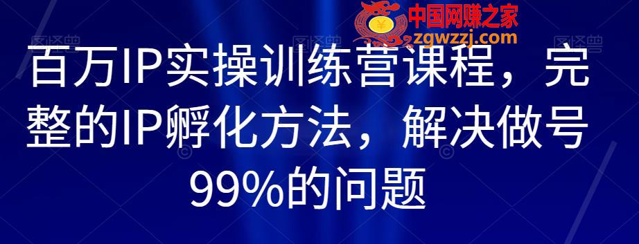 百万IP实操训练营课程，完整的IP孵化方法，解决做号99%的问题,百万IP实操训练营课程，完整的IP孵化方法，解决做号99%的问题,如何,IP,账号,第1张