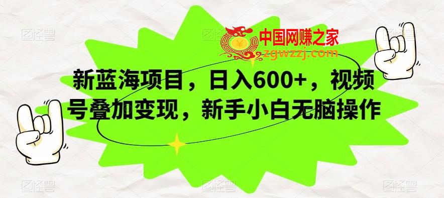 新蓝海项目，日入600+，视频号叠加变现，新手小白无脑操作【揭秘】,新蓝海项目，日入600+，视频号叠加变现，新手小白无脑操作【揭秘】,视频,项目,收益,第1张