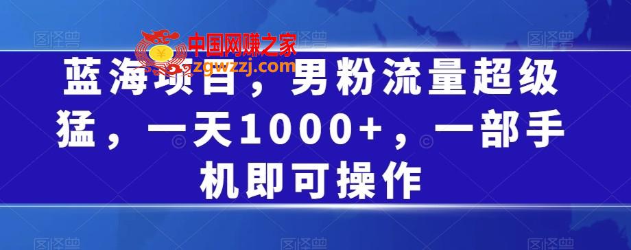 蓝海项目，男粉流量超级猛，一天1000+，一部手机即可操作【揭秘】,蓝海项目，男粉流量超级猛，一天1000+，一部手机即可操作【揭秘】,项目,以及,都是,第1张