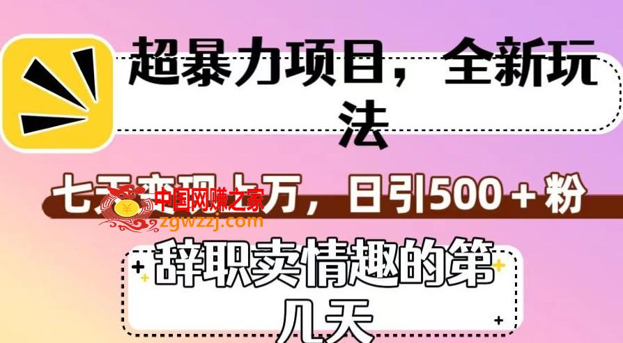 超暴利项目，全新玩法（辞职卖情趣的第几天），七天变现上万，日引500+粉【揭秘】,超暴利项目，全新玩法（辞职卖情趣的第几天），七天变现上万，日引500+粉【揭秘】,美女,视频,流量,第1张