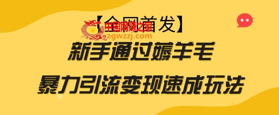 【全网首发】新手通过薅羊毛暴力引流变现速成玩法,【全网首发】新手通过薅羊毛暴力引流变现速成玩法,羊毛,新手,第1张