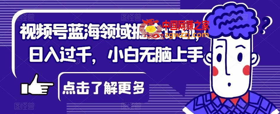 视频号蓝海领域掘金计划，日入过千，小白无脑上手【揭秘】,视频号蓝海领域掘金计划，日入过千，小白无脑上手【揭秘】,视频,内容,NeadPay,第1张