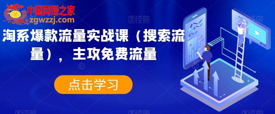 淘系爆款流量实战课（搜索流量），主攻免费流量,淘系爆款流量实战课（搜索流量），主攻免费流量,流量,新品,方法,第1张