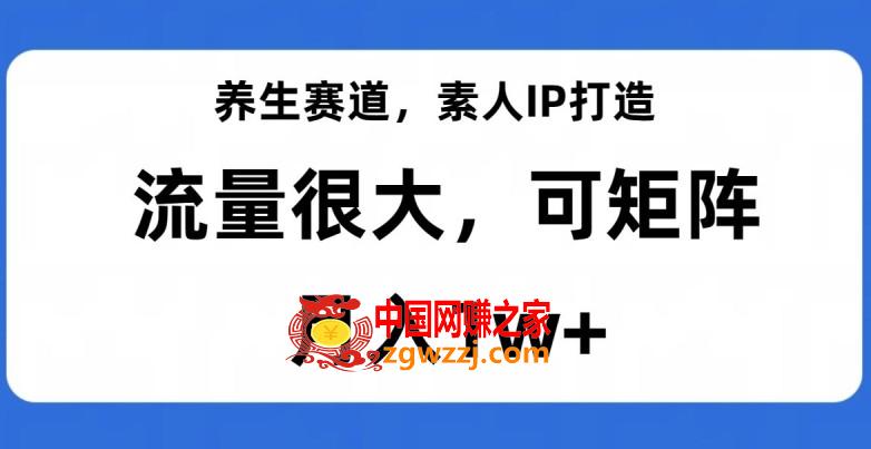 养生赛道，素人IP打造，流量很大，可矩阵，月入1w+【揭秘】,养生赛道，素人IP打造，流量很大，可矩阵，月入1w+【揭秘】,IP,养生,赛道,第1张