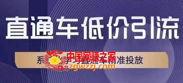 直通车低价引流课，系统化学习直通车精准投放,直通车低价引流课，系统化学习直通车精准投放,玩法,直通车,方法,第1张