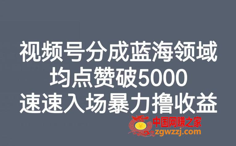 视频号分成蓝海领域，均点赞破5000，速速入场暴力撸收益,视频号分成蓝海领域，均点赞破5000，速速入场暴力撸收益,视频,蓝海,领域,第1张