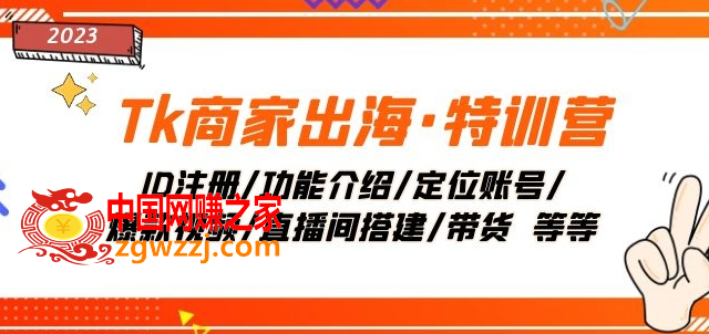 Tk商家出海·特训营：ID注册/功能介绍/定位账号/爆款视频/直播间搭建/带货