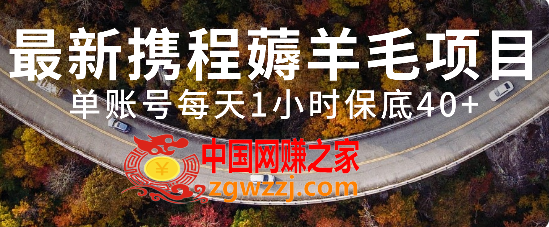 （7995期）全新携程网撸羊毛新项目，单账户每日1钟头保底收益40 ，可引流矩阵实际操作,（7995期）全新携程网撸羊毛新项目，单账户每日1钟头保底收益40 ，可引流矩阵实际操作,一个,项目,第1张