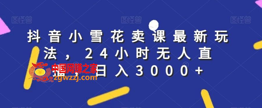 抖音小雪花卖课最新玩法，24小时无人直播，日入3000+【揭秘】,抖音小雪花卖课最新玩法，24小时无人直播，日入3000+【揭秘】,直播,项目,第1张