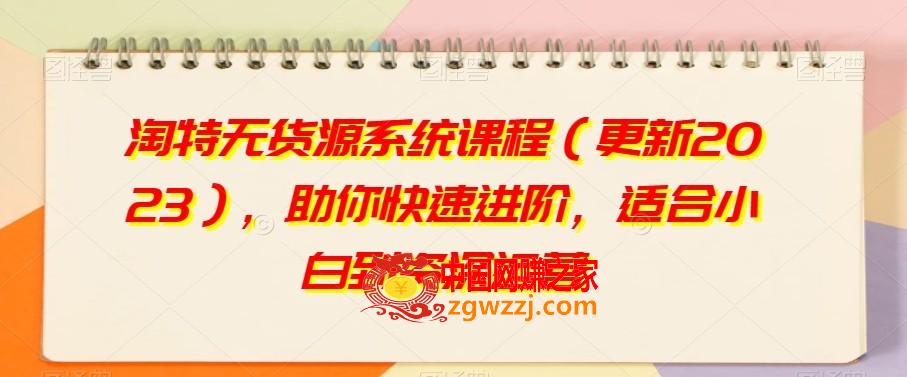 淘特无货源系统课程（更新2023），助你快速进阶，适合小白到资深运营