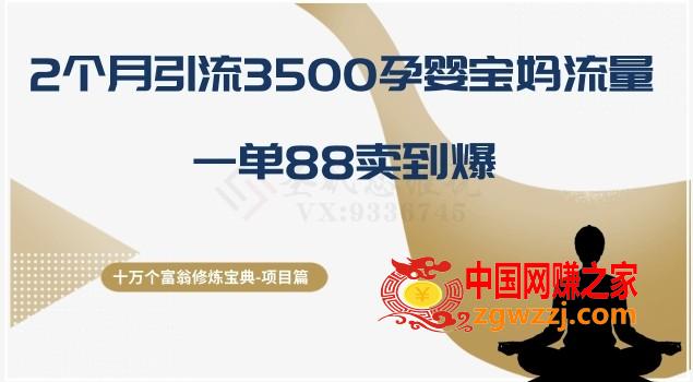 十万个富翁修炼宝典之13.2个月引流3500孕婴宝妈流量，一单88卖到爆,十万个富翁修炼宝典之13.2个月引流3500孕婴宝妈流量，一单88卖到爆,这个,项目,第1张