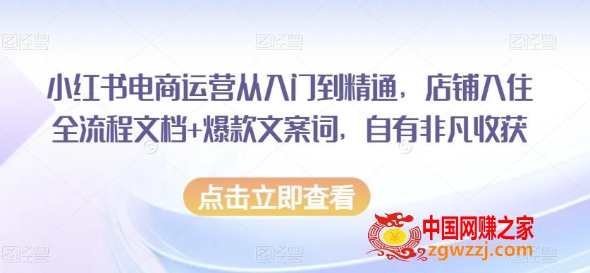 小红书电商运营从入门到精通，店铺入住全流程文档+爆款文案词，自有非凡收获,小红书电商运营从入门到精通，店铺入住全流程文档+爆款文案词，自有非凡收获,.mp4,小红,如何,第1张