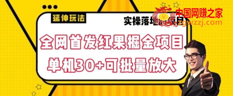 全网首发红果免费短剧掘金项目，单机30+可批量放大【揭秘】,全网首发红果免费短剧掘金项目，单机30+可批量放大【揭秘】,项目,下载,学习,第1张