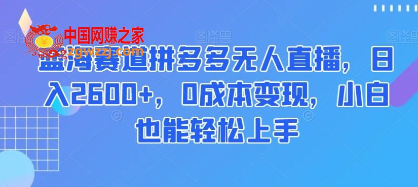 蓝海赛道拼多多无人直播，日入2600+，0成本变现，小白也能轻松上手【揭秘】,蓝海赛道拼多多无人直播，日入2600+，0成本变现，小白也能轻松上手【揭秘】,直播,项目,带货,第1张