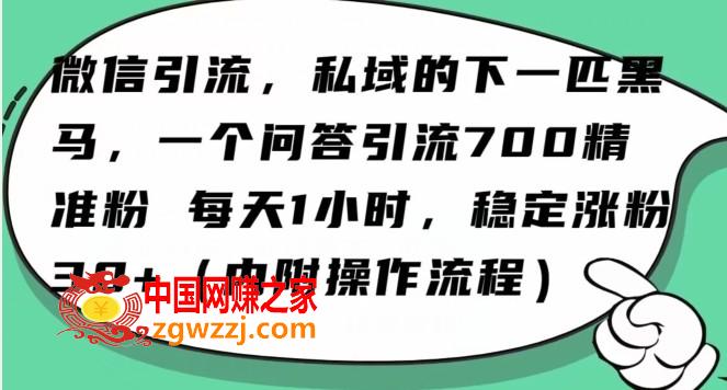 怎么搞精准创业粉？微信新赛道，每天一小时，利用Ai一个问答日引100精准粉,怎么搞精准创业粉？微信新赛道，每天一小时，利用Ai一个问答日引100精准粉,微信,一个,视频,第1张