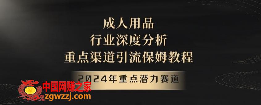 2024年重点潜力赛道，成人用品行业深度分析，重点渠道引流保姆教程【揭秘】,2024年重点潜力赛道，成人用品行业深度分析，重点渠道引流保姆教程【揭秘】,引流,行业,第1张