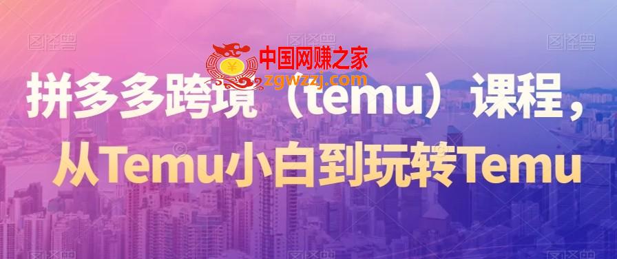 拼多多跨境（temu）课程，从Temu小白到玩转Temu,拼多多跨境（temu）课程，从Temu小白到玩转Temu,第二,第1张