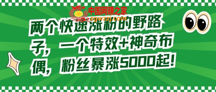 两个快速涨粉的野路子，一个特效+神奇布偶，粉丝暴涨5000起【揭秘】,两个快速涨粉的野路子，一个特效+神奇布偶，粉丝暴涨5000起【揭秘】,快速,特效,第1张