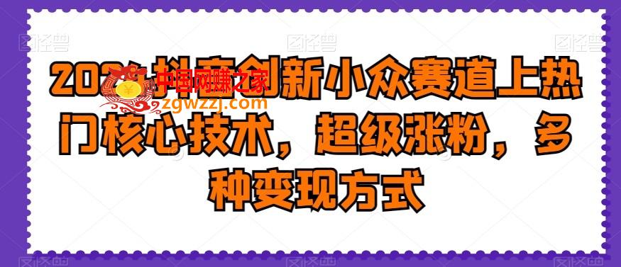 2024抖音创新小众赛道上热门核心技术，超级涨粉，多种变现方式【揭秘】