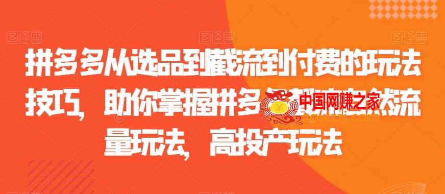 拼多多从选品到截流到付费的玩法技巧，助你掌握拼多多截流自然流量玩法，高投产玩法