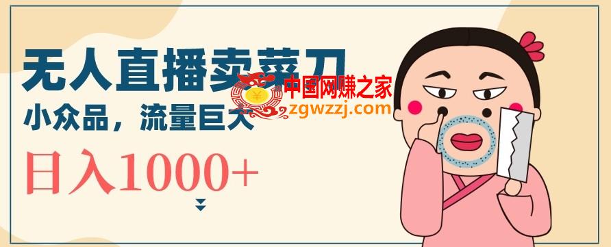 无人冷门品直播新玩法，通过卖菜刀日入1000+【揭秘】