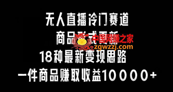 无人直播冷门赛道，商品形式更新，18种变现思路，一件商品赚取收益10000+【揭秘】