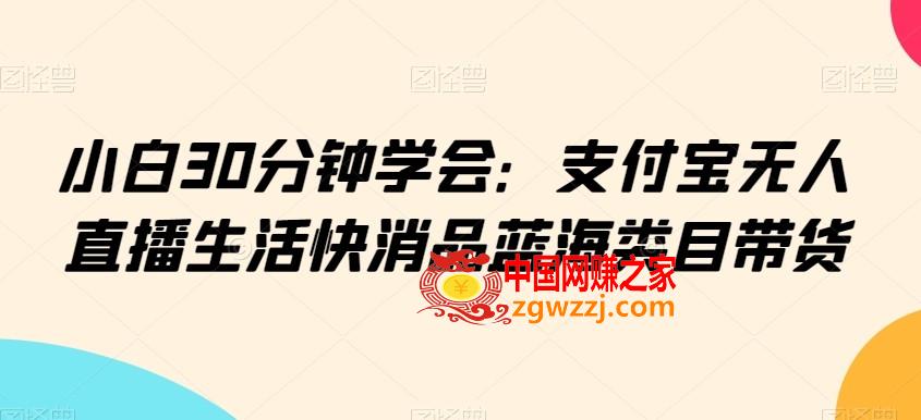 小白30分钟学会：支付宝无人直播生活快消品蓝海类目带货【揭秘】