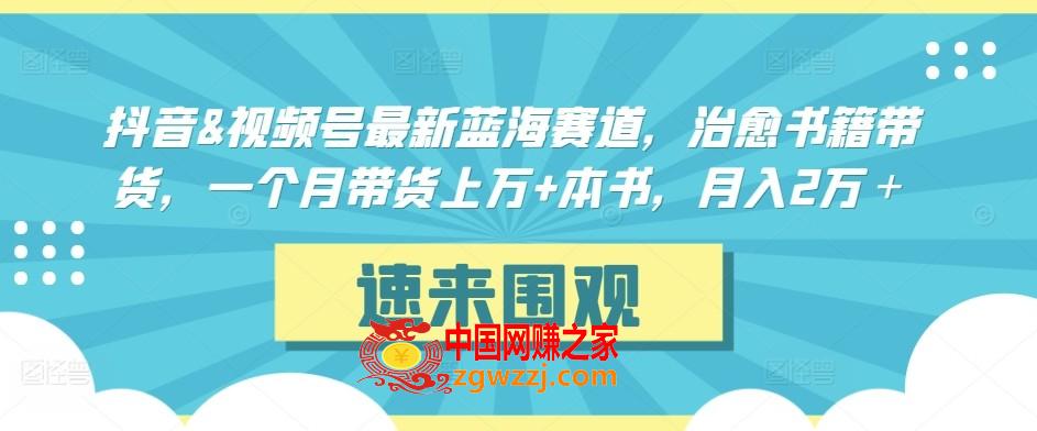 抖音视频号最新蓝海赛道，治愈书籍带货，一个月带货上万+本书，月入2万＋【揭秘】,抖音视频号最新蓝海赛道，治愈书籍带货，一个月带货上万+本书，月入2万＋【揭秘】,学习,带货,第1张