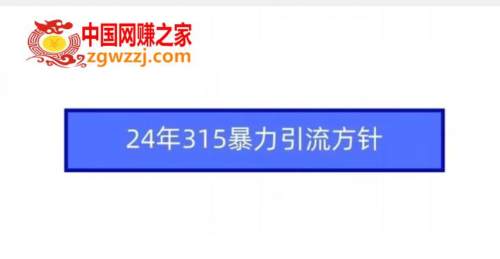 24年315暴力引流方针,24年315暴力引流方针,如何,节课,暴力,第1张